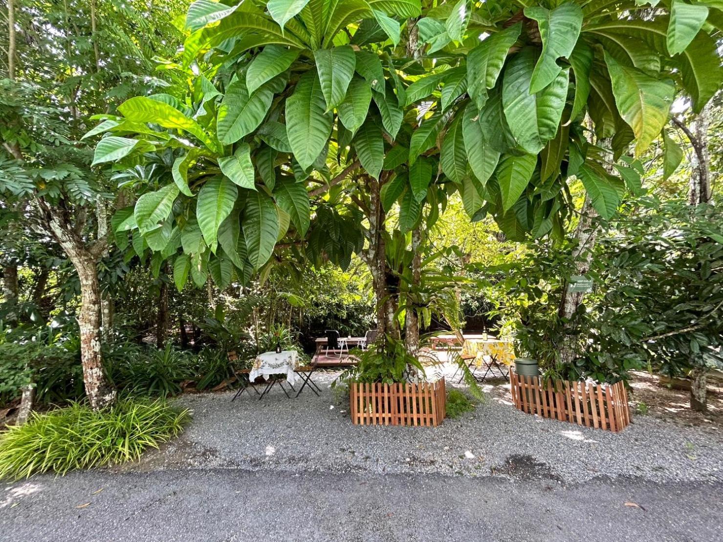Blu Monkey Pooltara Krabi Hotel & Villas Pet Friendly Εξωτερικό φωτογραφία