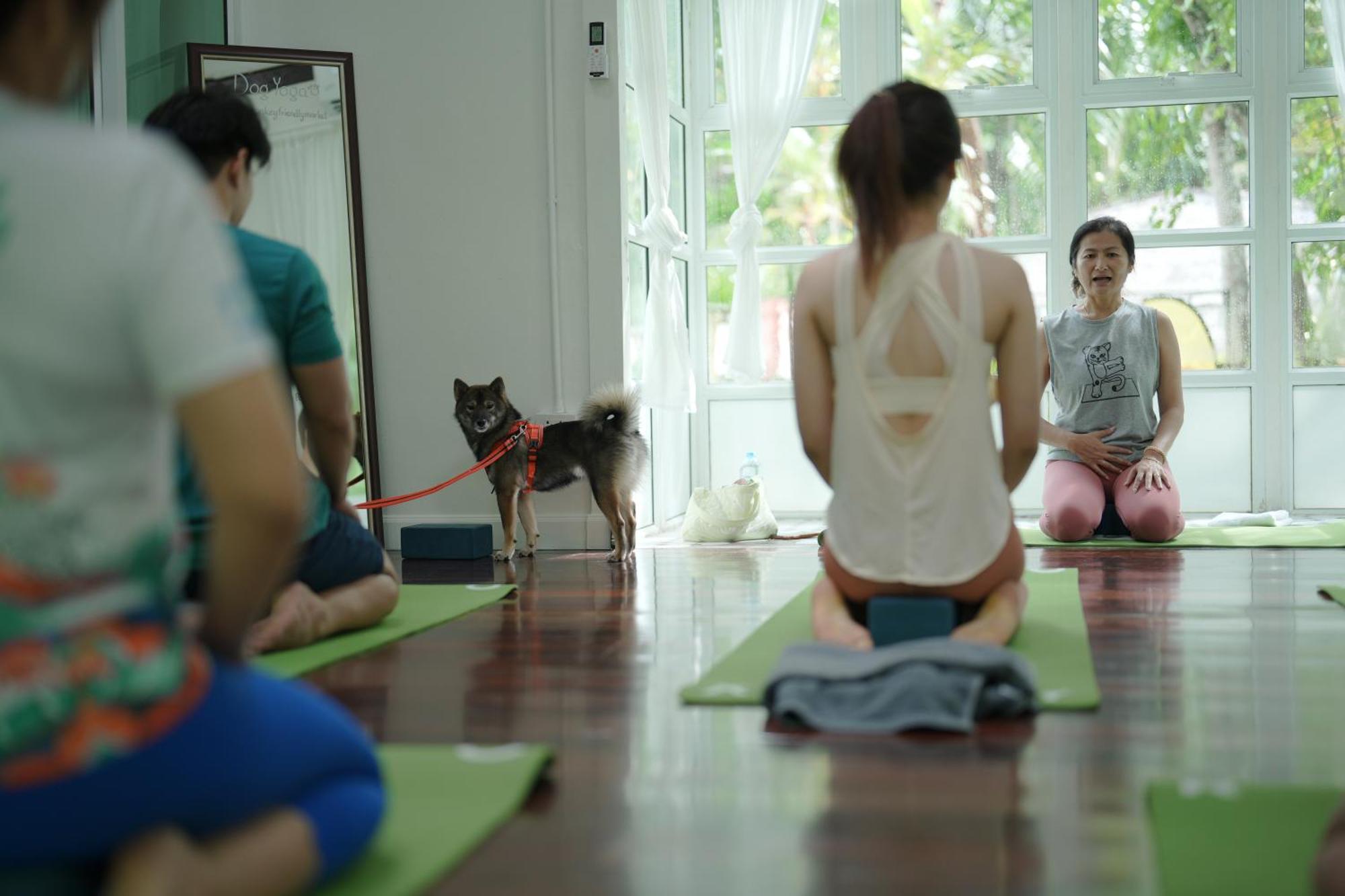 Blu Monkey Pooltara Krabi Hotel & Villas Pet Friendly Εξωτερικό φωτογραφία
